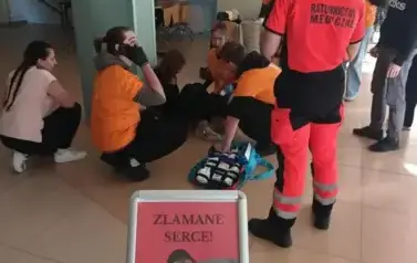 Multimedia (14)