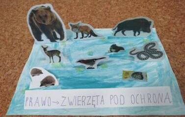 590868479_1484558890344974_5383786188483341726_n