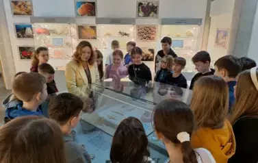 Klasy Va I Vb w Muzeum Przyrodniczym 5