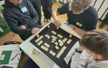 Multimedia (10)