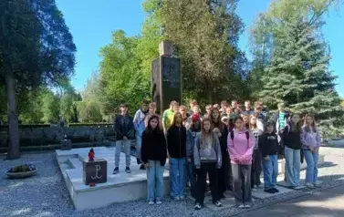 Multimedia (15)
