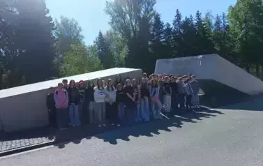 Multimedia (14)