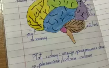 500507635_1309277051206493_8090864262420689424_n