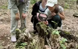 503855719_1314445590689639_4885886683975915196_n