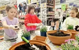 Warsztaty kwiatowe 1