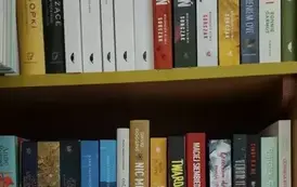 20250916_084825-1_Easy-Resize.com
