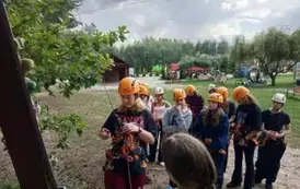 shared image (20)