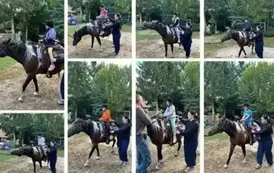 Kolejna relacja z pobytu w Gościńcu Narwiańskim! 4