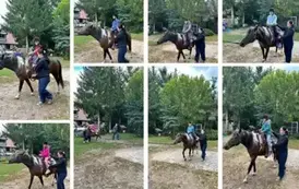 Kolejna relacja z pobytu w Gościńcu Narwiańskim! 5