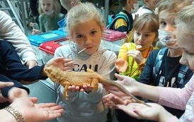 Wycieczka klasy 1pb do muzeum przyrodniczego 8