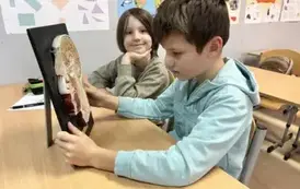 583699947_1470737385060458_4796864511085775988_n