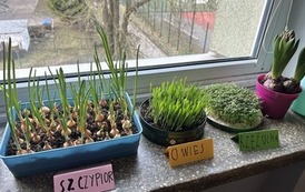 Wiosna się zbliża 1