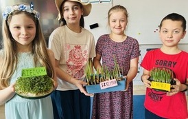 Wiosna się zbliża 2