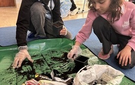 Wiosna się zbliża 4