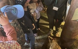 Wycieczka do Nadleśnictwa Krynki -Poczopek 3