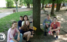 MicrosoftTeams-image (43)_wynik