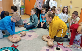 MicrosoftTeams-image (75) (Kopiowanie)