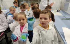 MicrosoftTeams-image (59)_wynik