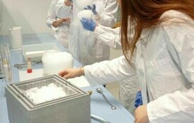 IMG_20240514_101334_wynik