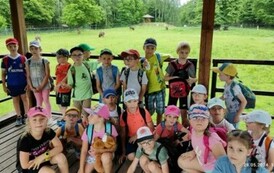 tmp_ad831b48-385c-4ee2-bc8a-5db73db1fe0b_wynik1