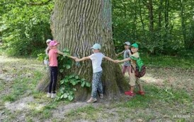 tmp_71a39154-b14f-4f55-9e94-140dca68c96a_wynik1