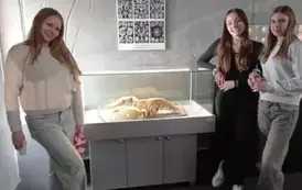 IMG_20250315_121906_Easy-Resize.com