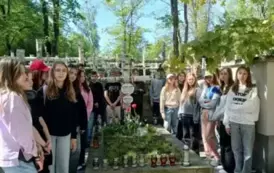 Multimedia (16)