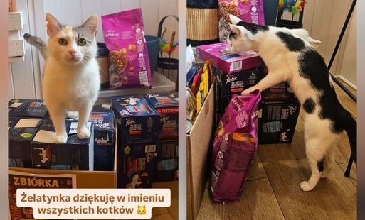 Zdjęcie do Obywatelskie inicjatywy klasy II lb